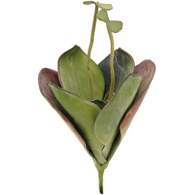 EUROPALMS Künstliche Seerose - Grün - 45cm EUROPALMS Künstliche Seerose - Grün - 45cm
