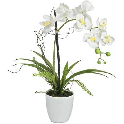 Europalms Orchideen-Arrangement 1 Europalms Orchideen-Arrangement 1