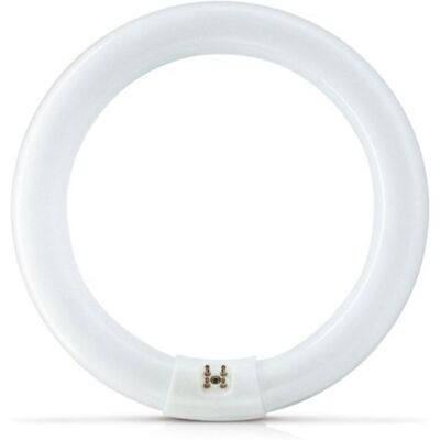 Philips Actinic Bl Tl-E 22w/10 1ct/20 Insektenlampe 22w Actinic G10q Ring Philips Actinic Bl Tl-E 22w/10 1ct/20 Insektenlampe 22w Actinic G10q Ring