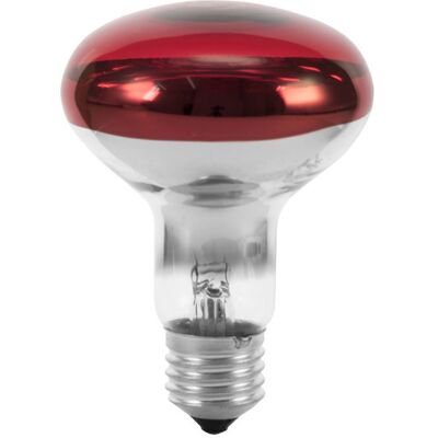 EuroLite R80 230V/60W E-27 Rote Reflektorlampe - Glühlampe EuroLite R80 230V/60W E-27 Rote Reflektorlampe - Glühlampe