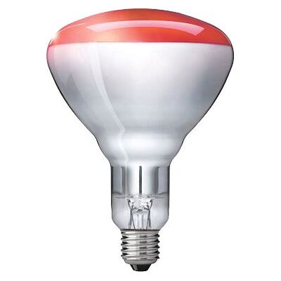 Philips Infrared 150r R125 E27 Infrarot Wärmelampe Philips Infrared 150r R125 E27 Infrarot Wärmelampe