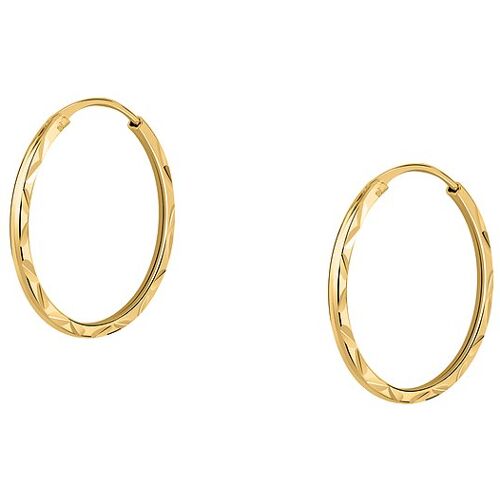 FAVS Creolen 89139945 375er Gelbgold