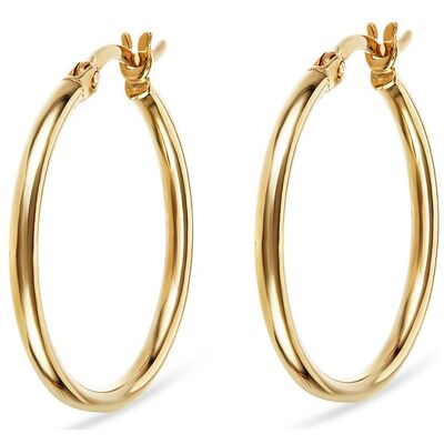 FAVS Creolen 88440048 375er Gelbgold FAVS Creolen 88440048 375er Gelbgold