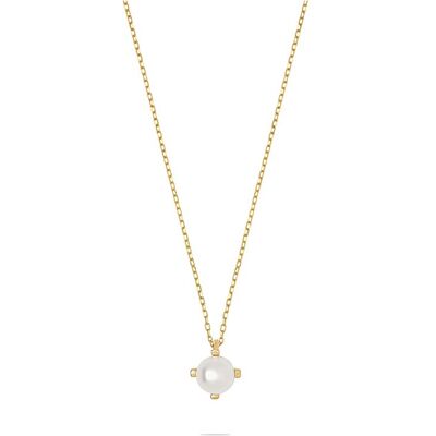 Valeria Kette 88817699 375er Gelbgold Valeria Kette 88817699 375er Gelbgold