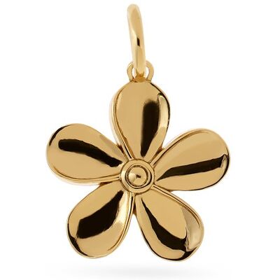 FAVS Charm Mix & Match 89231781 FAVS Charm Mix & Match 89231781