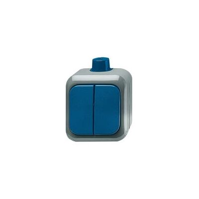 Busch-Jaeger BJ 2601-5 WDI - Serienschalter - Grau/Blau - Schalter Busch-Jaeger BJ 2601-5 WDI - Serienschalter - Grau/Blau - Schalter