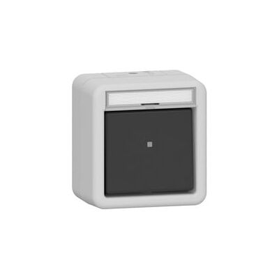 Gira Wipptaster Schliesser - 10 AX, Grau - Schalter Gira Wipptaster Schliesser - 10 AX, Grau - Schalter