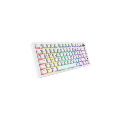 Sharkoon SKILLER SGK55W, Gaming-Tastatur Sharkoon SKILLER SGK55W, Gaming-Tastatur