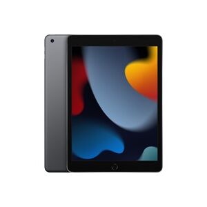 Apple iPad 10,2" (256 GB), Tablet-PC