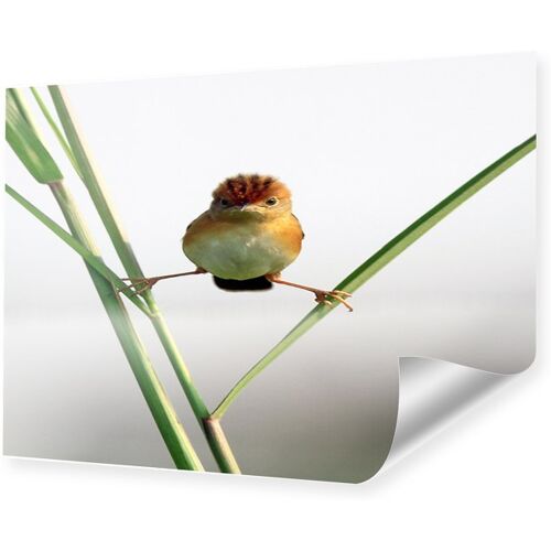 Poster Buro Lustig Produktubersicht Und Preisvergleich