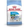 Royal Canin Mini Puppy Welpenfutter trocken für kleine Hunde, Sparpack 2 x 8 kg