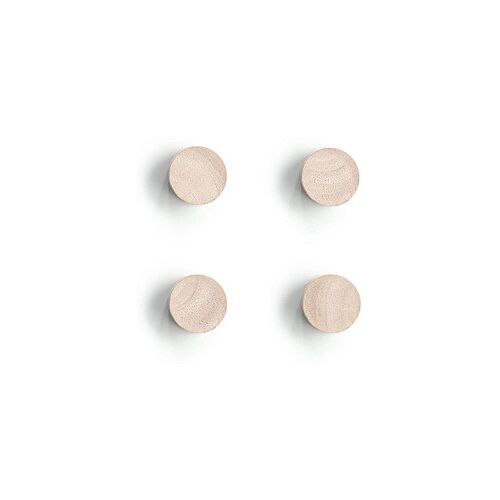 Zeller Wood Magnete braun, Holz Ø 2,2 x 1,5 cm, 4 St.