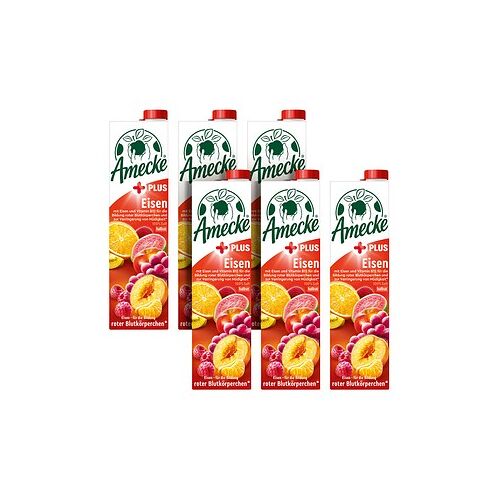 Amecke + Eisen Fruchtsaftkonzentrat 6x 1,0 l