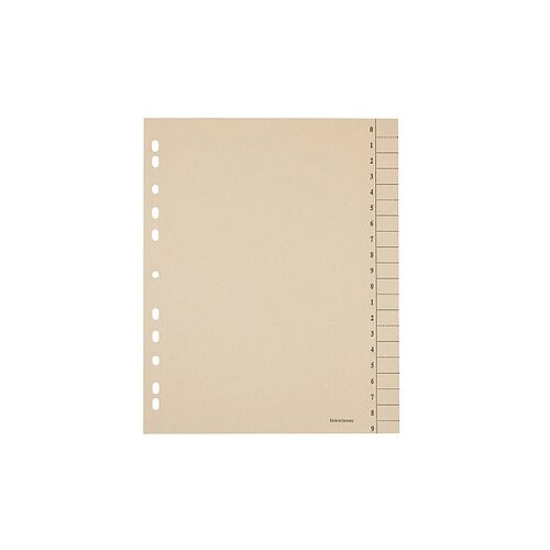 Neutral Trennblätter DIN A4 0-9 chamois, 250 g/qm, 100 St.