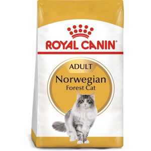 ROYAL CANIN Norwegian Forest Cat Adult Trockenfutter für Norwegische Waldkatzen 2x10kg