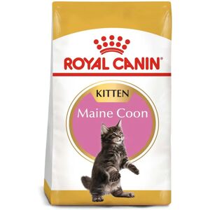 ROYAL CANIN Maine Coon Trockenfutter für Kätzchen 2 x 10 kg