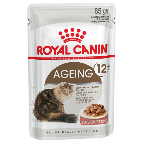Preis royal canin 24x 85g ageing