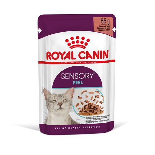 Preis royal canin 96x 85g sensory