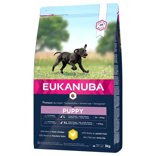 Eukanuba 2x 3kg Eukanuba Puppy Large Breed Huhn Hundefutter trocken