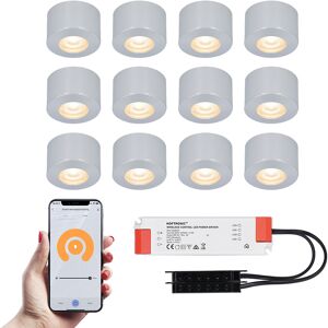 HOFTRONIC SMART 12x Navarra RVS Smart LED Aufbaustrahler Komplett-Set - Wifi & Bluetooth - 12V - 3 Watt - 2700K warmweiß - Veranda-Beleuchtung - Für Innen- und Außenbereich