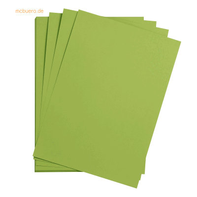 Clairefontaine Bastelkarton Maya 185g/qm A3 VE=25 Blatt moosgrün - Bastelpapier Clairefontaine Bastelkarton Maya 185g/qm A3 VE=25 Blatt moosgrün - Bastelpapier