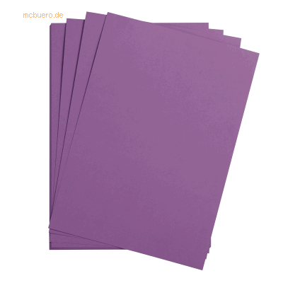 Clairefontaine Maya Violett Bastelkarton - Bastelkarton Clairefontaine Maya Violett Bastelkarton - Bastelkarton