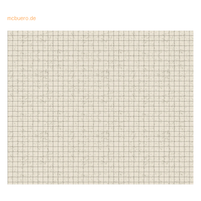 Ludwig Bähr - Motiv-Fotokarton 300 g/m² 49,5x68 Raster - Cardstock Ludwig Bähr - Motiv-Fotokarton 300 g/m² 49,5x68 Raster - Cardstock