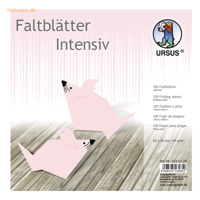 Ludwig Bähr Ursus Falten Altrosa - Plakatkarton Ludwig Bähr Ursus Falten Altrosa - Plakatkarton