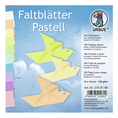 Ludwig Bähr Ursus Faltbares Pastell-Zeichenpapier - Zeichenpapier Ludwig Bähr Ursus Faltbares Pastell-Zeichenpapier - Zeichenpapier