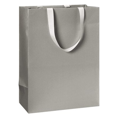 6 x Stewo Geschenktragetasche One Colour - 23 x 30 x 13 cm silber. 6 x Stewo Geschenktragetasche One Colour - 23 x 30 x 13 cm silber.