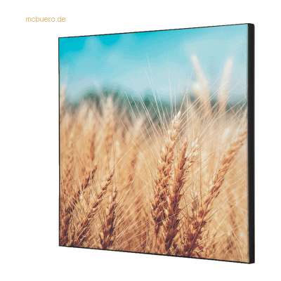 Showdown Wanddekoration Set 40x40cm Getreidefeld Showdown Wanddekoration Set 40x40cm Getreidefeld