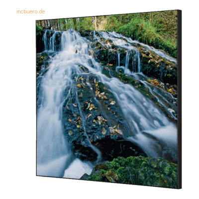 Showdown Wanddekoration Set 40x40cm Wasserfallwald Showdown Wanddekoration Set 40x40cm Wasserfallwald