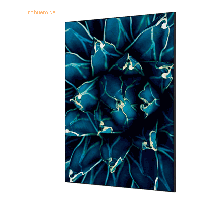 Showdown Wanddekoration Set A1 Kaktus blau Showdown Wanddekoration Set A1 Kaktus blau