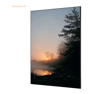 Showdown Wanddekoration Set A1 Wald Sonnenaufgang Showdown Wanddekoration Set A1 Wald Sonnenaufgang