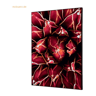 Showdown Wanddekoration Set A2 Kaktus rot Showdown Wanddekoration Set A2 Kaktus rot