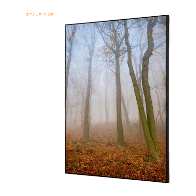 Showdown Wanddekoration Set A2 Herbstnebel Showdown Wanddekoration Set A2 Herbstnebel
