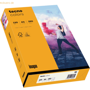 INAPA - TECNO COLORS - A4 - 120 g/m² - Multifunktionspapier INAPA - TECNO COLORS - A4 - 120 g/m² - Multifunktionspapier