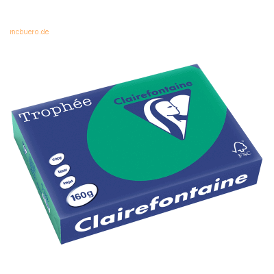 Clairefontaine Dennengroen A4 - 160g - Farbpapier - 250 Blatt Clairefontaine Dennengroen A4 - 160g - Farbpapier - 250 Blatt