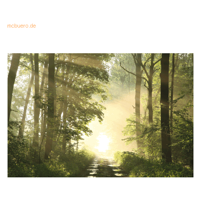 Paperflow Wandbild 65x98cm Wald Paperflow Wandbild 65x98cm Wald