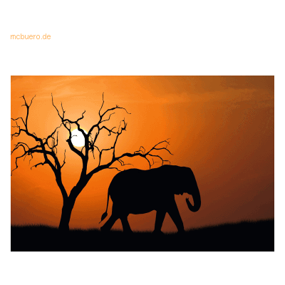 Paperflow Wandbild 65x98cm Out of Africa Paperflow Wandbild 65x98cm Out of Africa