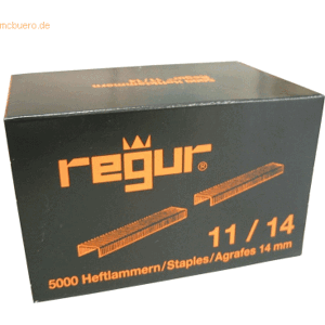 Regur Typ 11 Flachdrahtklammer - Clips - 5000 Stück Regur Typ 11 Flachdrahtklammer - Clips - 5000 Stück