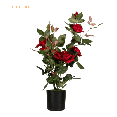 PAPERFLOW ROSENSTOCK Kunstpflanze - 54 cm Höhe PAPERFLOW ROSENSTOCK Kunstpflanze - 54 cm Höhe