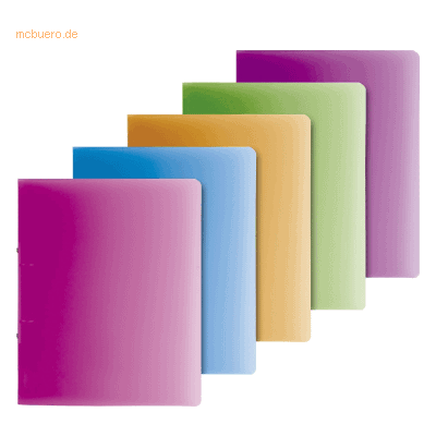 10 x Brunnen Ringbuch Fact! A4 16mm 2 Ringe farbig sortiert 10 x Brunnen Ringbuch Fact! A4 16mm 2 Ringe farbig sortiert