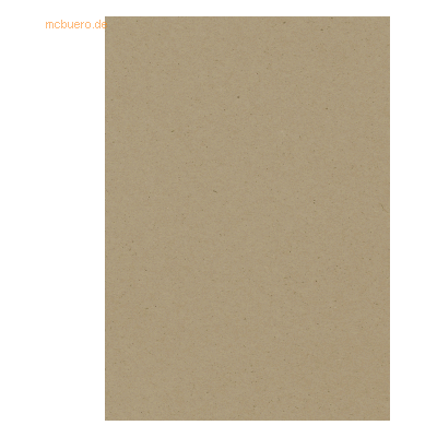100 x Heyda Karton A4 220g/qm RC natur 100 x Heyda Karton A4 220g/qm RC natur