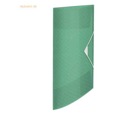 4 x Esselte Eckspannermappe Colour'Ice A4 PP grün 4 x Esselte Eckspannermappe Colour'Ice A4 PP grün
