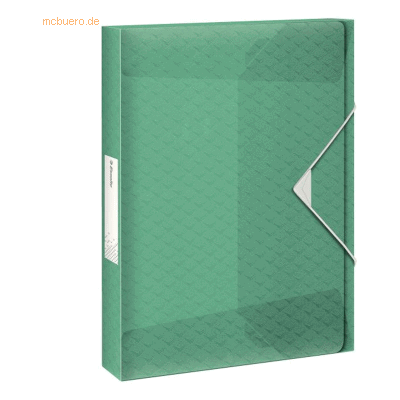 2 x Esselte Ablagebox Colour'Ice A4 PP 25mm grün 2 x Esselte Ablagebox Colour'Ice A4 PP 25mm grün