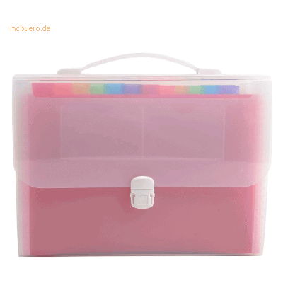 Exacompta Fächermappe A4 PP 24 Fächer Schnappverschluss transparent/fa Exacompta Fächermappe A4 PP 24 Fächer Schnappverschluss transparent/fa