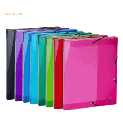 8 x Exacompta Archivbox Iderama A4 25mm Rücken farbig sortiert 8 x Exacompta Archivbox Iderama A4 25mm Rücken farbig sortiert
