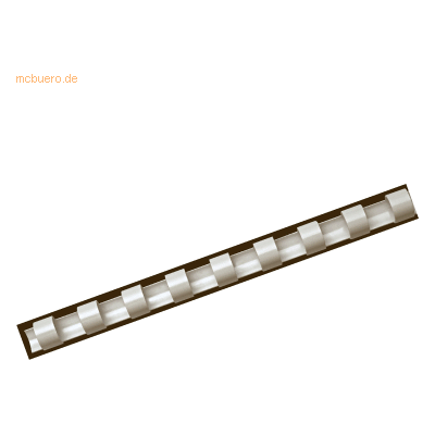 Fellowes Plastikbinderücken A4 21 Ringe 10mm weiß VE=100 Stück Fellowes Plastikbinderücken A4 21 Ringe 10mm weiß VE=100 Stück