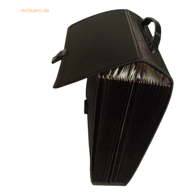 Foldersys Fächertasche A4 PP 24 Fächer mit Griff schwarz Foldersys Fächertasche A4 PP 24 Fächer mit Griff schwarz